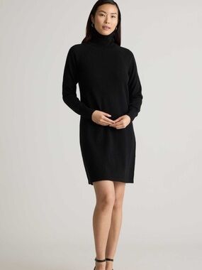 Quince Mongolian Cashmere Black Turtle Neck Sweater Dress Knit Quiet Luxury Cozy